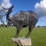 Slieve Aughty Goat by Donnacha Cahill